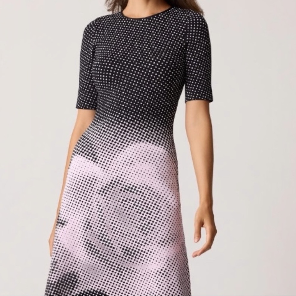 TERI JON Rickie Freeman Double Knit Dotted Rose Floral Printed A Line Midi Dress - Picture 4 of 17